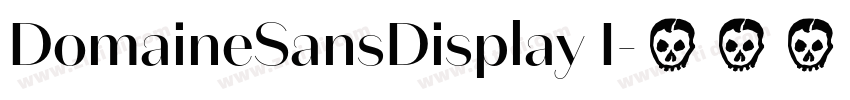 DomaineSansDisplay I字体转换